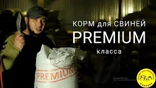 Корм для свиней PREMIUM