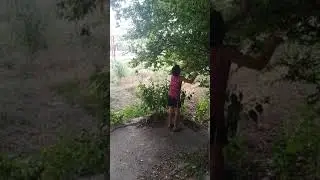 Экстремальные прятки в заброшенной бане