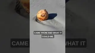 Unidentified Metal ball Found on Japanese Beach - What Is It? #Shorts #UFO #japan
