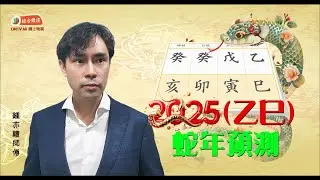【預測2025係點? 鍾亦禮師傅話你知!! 🌸🌸 】~ (玄學伽俐略)