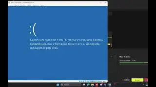 Flourish.midi Has BSOD VM