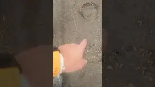 по полям, по полям,медведи ходят в гости  к нам #1mi #1million #100#следопыт