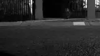 The angel of death - stop motion film