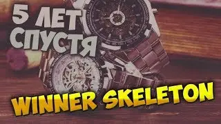 Проверено временем: часы Winner Skeleton. Пять лет спустя!
