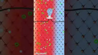 ¿Cómo funcionan los paneles solares?☀️