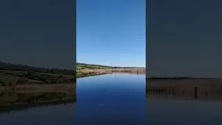 1 мая 2024 г.