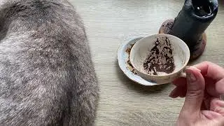 Чашка дня! Кофейные подсказки ☕️