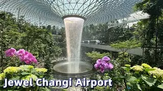 Spending half a day at Jewel Changi Airport | Walking Around | Eating
