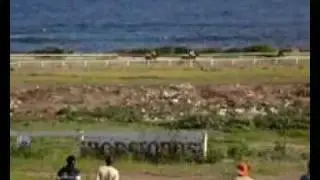 Horse racing in Nevis 17 - Little Rain