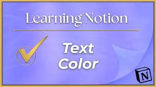 Notion Basics: Text Color
