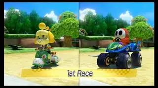 mario kart 8 deluxe with my nephew