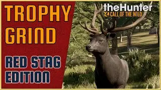 Trophy Grind: Red Stag Edition - Our First Diamond Of The Grind | theHunter Call of the Wild