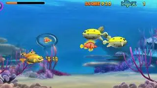 game fish feeding