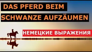 🐴 Das Pferd beim Schwanze aufzäumen. Ставить телегу впереди лошади, народное немецкое выражение