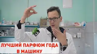 Лучшие ароматизаторы в авто от Академика. Освежитель воздуха.