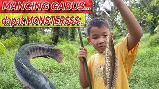 MANCING GABUS