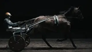 Path To Glory - Major Races 2022