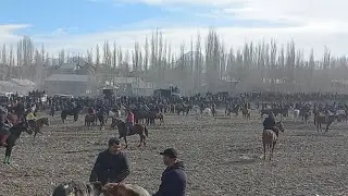 Бузкаши