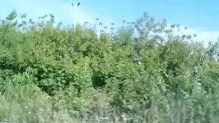 Мы почти дома