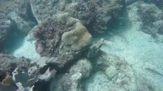 Mergulho Arraial do cabo parte 3/3