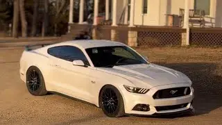 How to replace pcv valve in 2015-2017 Ford Mustang GT