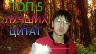 ЦИТАТЫ ДЛЯ ВОЛКОВ!!!!