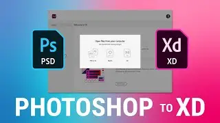 How to Import Photoshop to Adobe XD