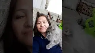 the lesbian Arab cat so romantic