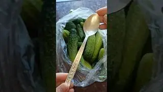 ПОЛОЖИ ЛОЖКУ В ОГУРЦЫ #совет Поможет!!! lifehack
