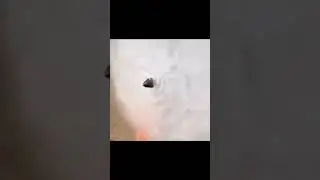 Pressure Washer Jet Nozzle.