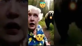 Мне жалко медведя