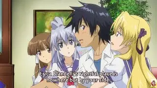 Campione! | Harem