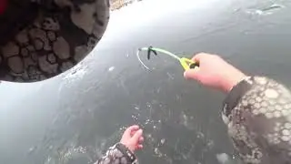 Ловля плотвы из подо льда
