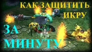 Как защитить икру за минуту?! – Royal Quest