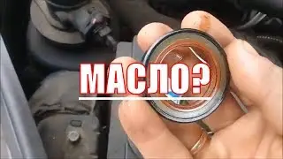 Engine oil goes out of the engine ?! ONE OF THE REASONS! RENO SAFRANE