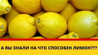 А вы знали на что способен лимон?