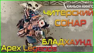 Читерский СОНАР| 