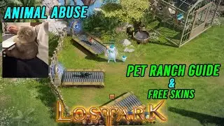 Lost Ark Pet Ranch Guide