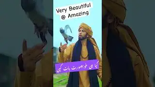 Panchi Ki Tra Ur Jayen gy ik Din Mar Udari 