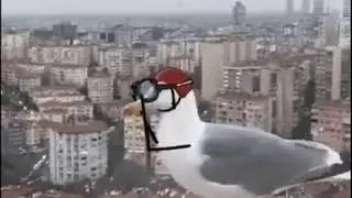 Мы - дети галактики