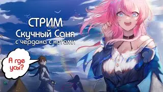 Где усы? Запись стрима с чердака с Котами. Скучный Саня.