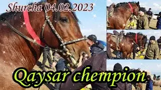 ЧЕМПИОН! Дар бузкаши Шурча Немат чавандоз бо Қайсар охирон дасро гирифт 04.02.2023