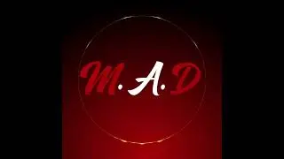 Savage D Hussle - MAD (Manifestation, Abundance & Dedication)