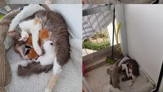 У НАС ПОПОЛНЕНИЕ СЛУЧАЙНОЕ❤️