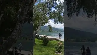 Amazing lakeview #flowers #lakeview #naturelovers