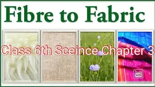 Class 6th Science chapter 3 Fibre to Fabric #Handwritten notes#
