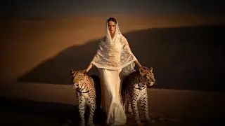 Ömer Bükülmezoğlu - Desert Rain (Official Video)