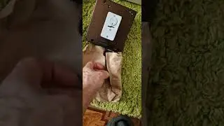 замок меттем