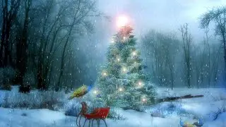 Волшебная звезда