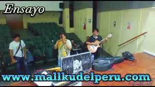 Ensayo Mallku.